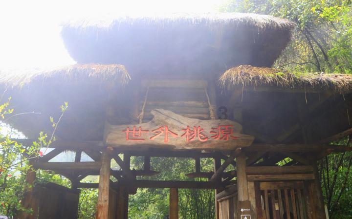 救援年轻女歌手