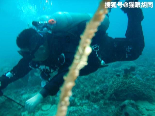 办理国际旅游经营许可要求及流程